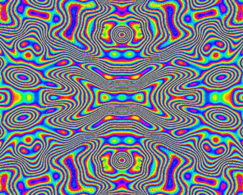 Jungle Breaks Pack Sample Focus