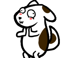 Collection card image