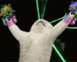 Collection card image