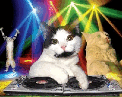 Collection card image