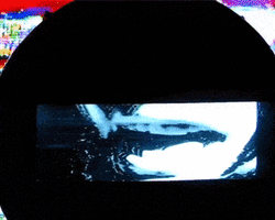 Collection card image