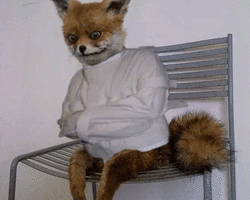 Collection card image