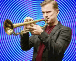 Collection card image