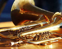 Collection card image