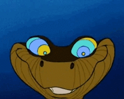 Collection card image