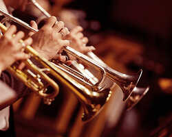 Collection card image