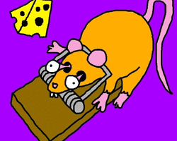 Collection card image