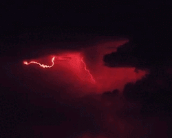 Collection card image