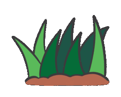 Collection card image