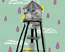 Collection card image