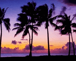 Collection card image