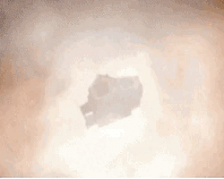 Collection card image