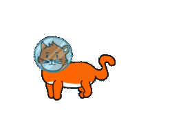 Collection card image