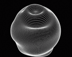 Collection card image