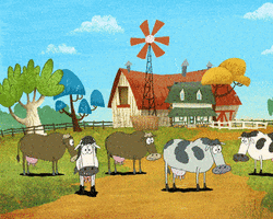 Collection card image