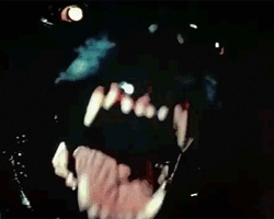 Collection card image