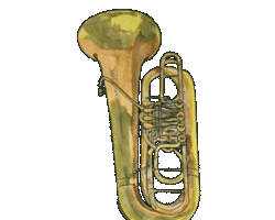 Collection card image