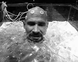 Collection card image