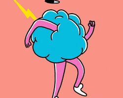 Collection card image