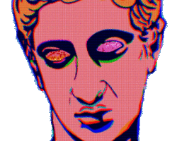 Collection card image