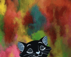 Collection card image