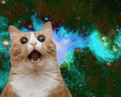 Collection card image