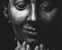 Collection card image