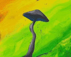 Collection card image