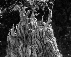 Collection card image