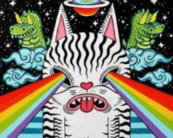 Collection card image