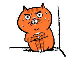 Collection card image