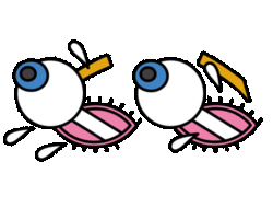 Collection card image