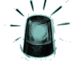 Collection card image