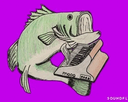 Collection card image