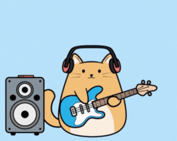 Collection card image