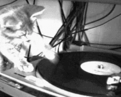 Collection card image