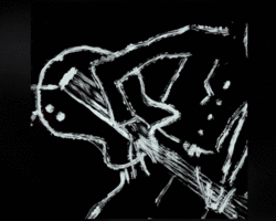 Collection card image