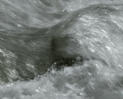 Collection card image