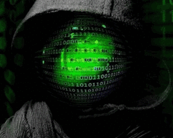 Collection card image