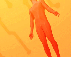 Collection card image