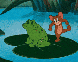 Collection card image