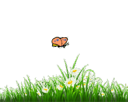 Collection card image