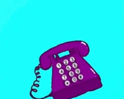 Collection card image