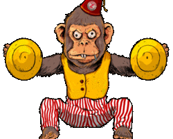 Collection card image