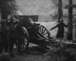 Collection card image