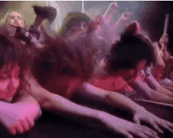 Collection card image