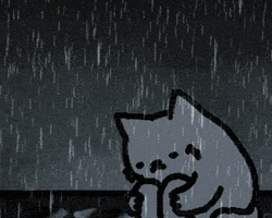 Collection card image