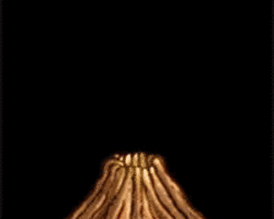 Collection card image
