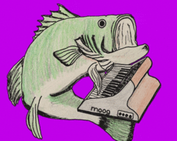 Collection card image