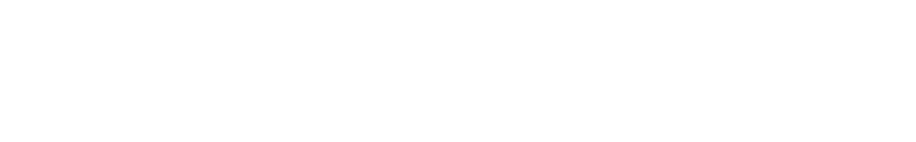 Russian Spoken - ''Ssanina'' waveform
